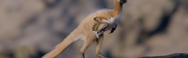 Najmanji među najvećima: Novo otkriće iz sveta dinosaurusa