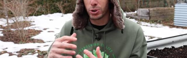 Bloger zasadio seme paradajza iz čizburgera: Nakon 3 meseca stigli su rezultati i potpuni šok!