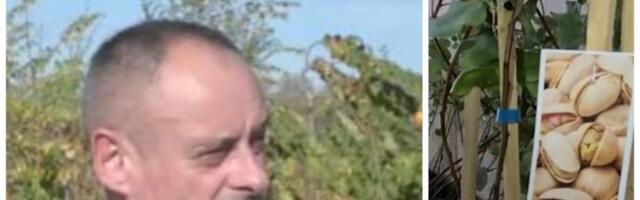 Egzotika u srcu Srbije: Dejan gaji 500 biljaka iz celog sveta! Pistaći, nar, japanske jabuke... a cena će vas šokirati (Foto)