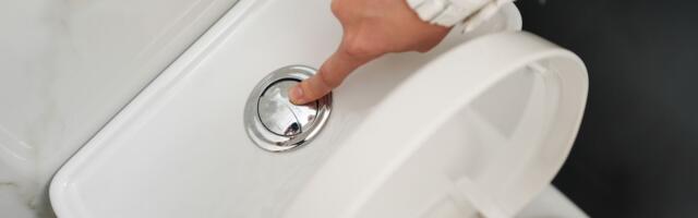 Curi vam vodokotlić? Ne zovite majstora, ovo je najjednostavniji trik koji rešava kvar za 3 minuta