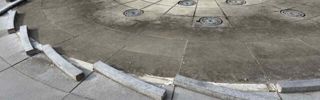 Fontana se raspada, radnici JKP menjaju osušene javore