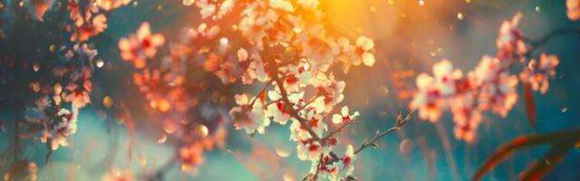 Stiže nam najlepše godišnje doba: Astronomi otkrili tačan trenutak kada počinje proleće