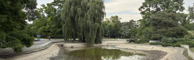 VIDEO: Jezero u Dunavskom parku ispražnjeno zbog čišćenja, poznato šta se desilo sa kornjačama