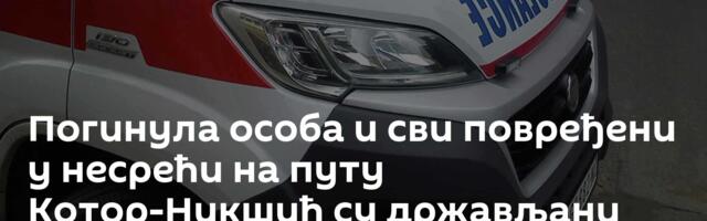 Погинула особа и сви повређени у несрећи на путу Котор-Никшић су држављани Србије