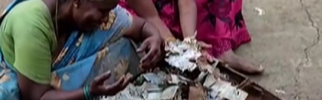 Izgubili životnu ušteđevinu: Termiti pojeli sav novac