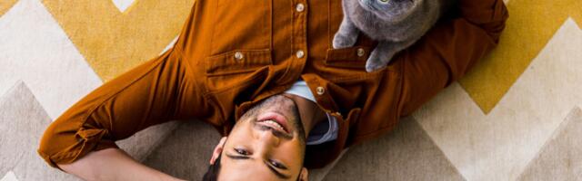 Pronađen je lek za alergije na mačke