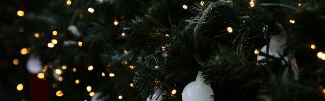 Da li je ovo najlepše okićena kuća u Srbiji? Građani pitaju za dozvolu da posete porodicu koliko je ČAROBNO