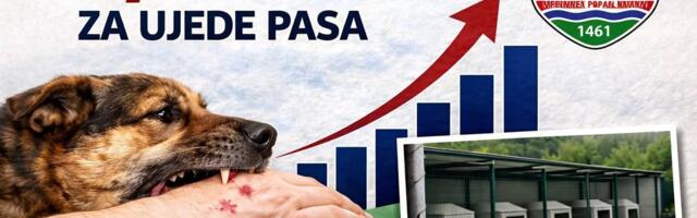 SPP Novi Pazar: Za 10 godina Grad Novi Pazar isplatio oko 1,4 miliona eura za ujede pasa