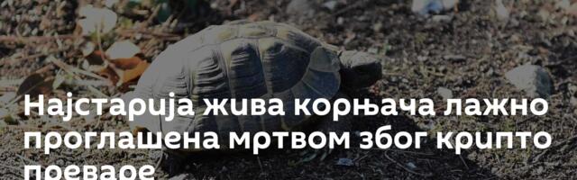 Најстарија жива корњача лажно проглашена мртвом због крипто преваре