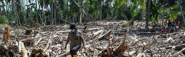 Ciklon na Sumatri je možda zbrisao i najređe majmune na svetu
