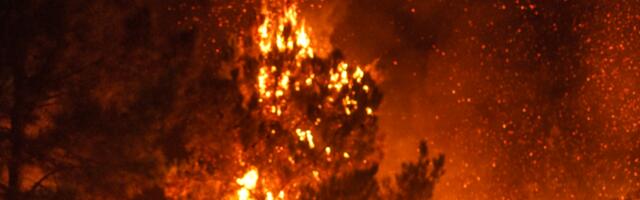 UŽAS U PORODIČNOM GAZDINJSTVU Izgorele krave, ovce i svinje... Šteta je ogromna