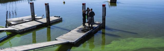 NEOBIČAN FENOMEN U ČEŠKOJ: Jezero u Češkoj prekrio zeleni led, naučnici imaju objašnjenje za ovo - evo o čemu je reč