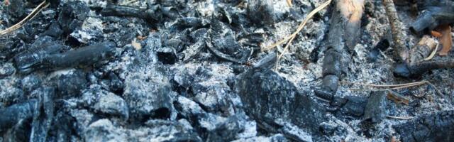 Nikad više ne bacajte pepeo iz peći! Stavila je samo šaku u ćošak kuće i rešila problem koji nas zimi sve izluđuje