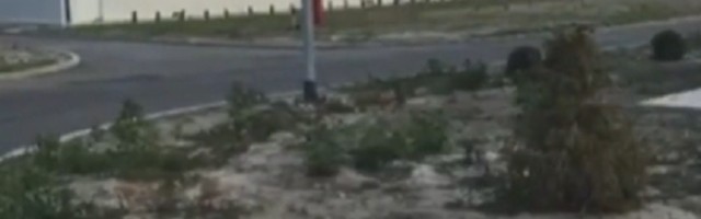 Vučić priznao da je fabrika vode obmana i promašaj