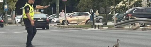 Policajac zaustavio saobraćaj zbog patke i pačića (FOTO)