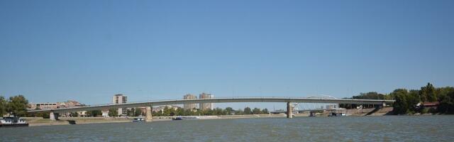 FOTO Pomor ribe u kanalu DTD i Dunavu u Novom Sadu: S rastom temperature česta su uginuća ribe