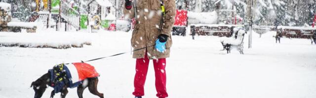 U Beogradu danas temperatura u minusu, na jugoistoku 11 stepeni: Na snazi je upozorenje na ledenu kišu