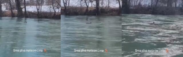 "Zar nema niko da je spasi": Borba za život u ledenoj vodi (VIDEO)