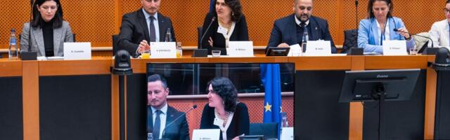 Romi u fokusu evropske demokratije: Potrebno preći sa simbolike na stvarno uključivanje