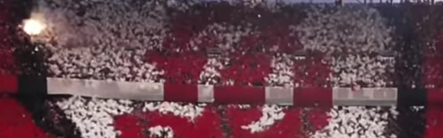 NEVER-BEFORE-SEEN GESTURE ON THE FOOTBALL FIELD: Dog lovers will be delighted!