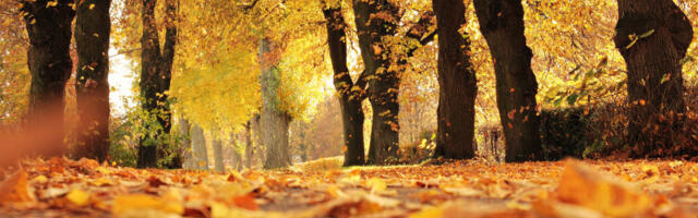 Prestanak padavina i značajno toplije vreme: Meteorolog objavio prognozu, ovih dana biće i 15 stepeni