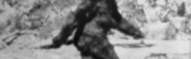 Misterija Bigfuta: Postoji li takvo stvorenje i ko su ljudi koji ga love