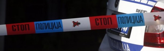AUTOMOBILOM NALETEO NA ODBEGLE KONJE, POGINUO NA MESTU! Životinje uginule, užas u Surčinu!