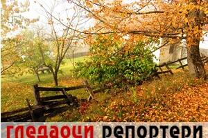 Гледаоци репортери (7. децембар 2022)