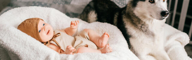 Mama je ostavila BLIZANCE sa dva PSA: Ljudi zaprepašćeno gledaju VIDEO i ne veruju svojim očima!