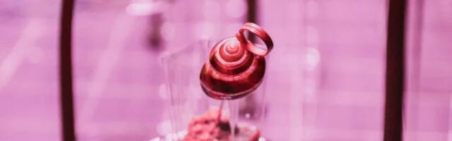 Puter ketering – za događaje koji se pamte po ukusu