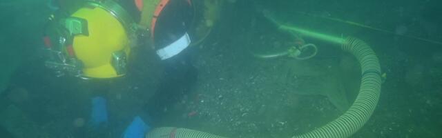 Vode kraj Kopenhagena krile izuzetnu tajnu: Otkrivena najveća koga na svetu