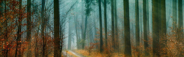 Oglasio se RHMZ: Ovo je najnovija prognoza za narednih sedam dana