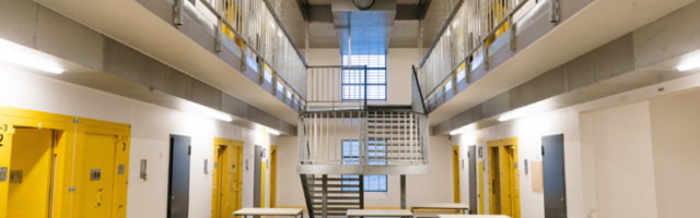 Elle preporuka: Omaž Vladimiru Veličkoviću u ARTE galeriji