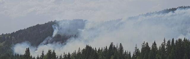 U Kamenoj gori izgorelo više od 30 hektara šume (VIDEO)