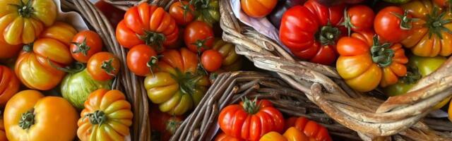 Pronašli smo originalni mediteranski recept za sušeni paradajz u ulju