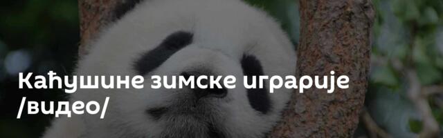 Каћушине зимске играрије /видео/