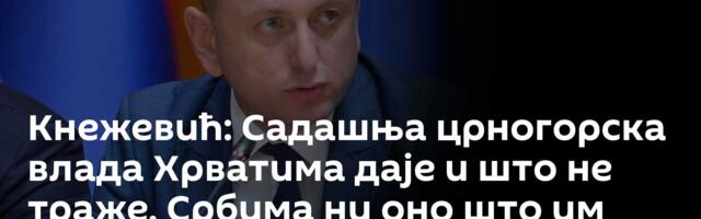Кнежевић: Садашња црногорска влада Хрватима даје и што не траже, Србима ни оно што им припада