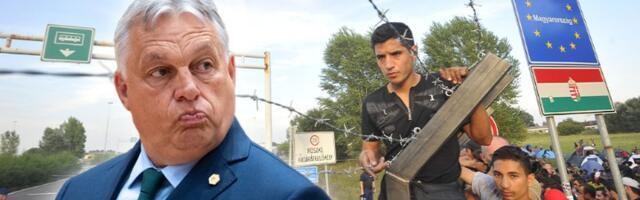 PAROLA KOJA SE ŠIRI MAĐARSKOM: Ljubav je trijumfovala nad mržnjom