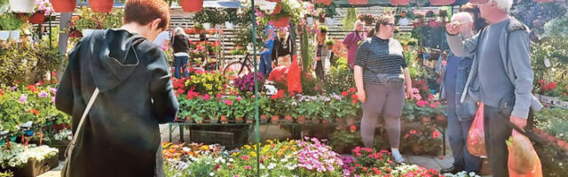 Почела сезона „Новосадских цветних пијаца”