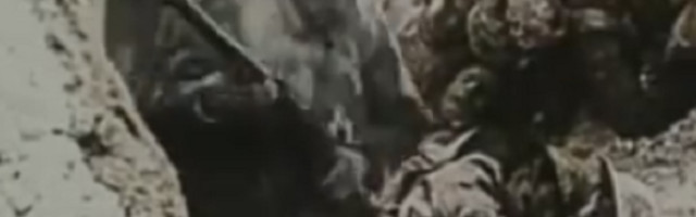 Ispovest ruskog novinara o Nemcima koji je dvaput blokiran na Fejsbuku