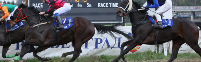 BEOGRADSKI HIPODROM OTVARA SVOJE KAPIJE Počinje sezona trka na najstarijem sportskom objektu u gradu