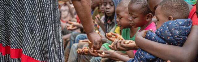 KAMERUN PRED HUMANITARNIM KOLAPSOM? Svetski program za hranu UN: Preti katastrofalna glad ako se ne obezbedi 57 miliona evra