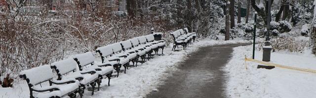 Prvi dan 2026. u Novom Sadu vedar, a onda kreće "ludo" vreme: Prvo 12 stepeni i kiša, a onda sneg