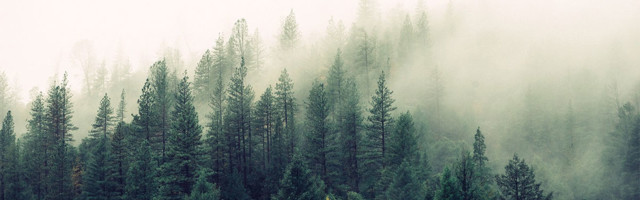 Raste zabrinutost zbog klimatskih promena