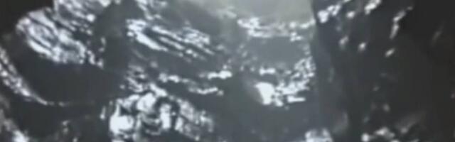 Priča o stradanju koja nije za svačiji stomak, ali je za svačije srce