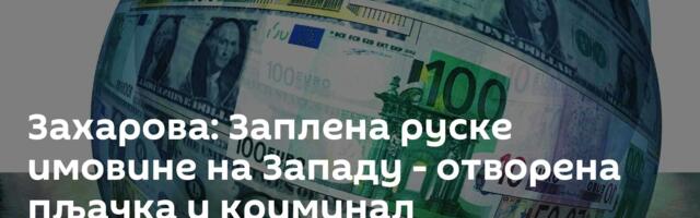 Захарова: Заплена руске имовине на Западу - отворена пљачка и криминал