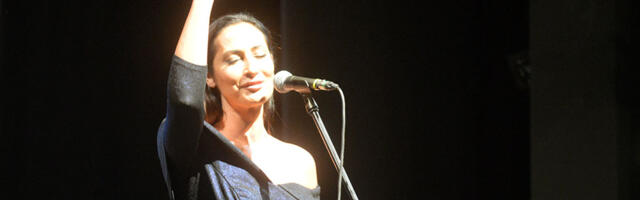 Ministarstvo kulture: Vraneš i Bajić pevaju „Sevdah Operu“