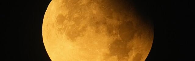 Spektakl na nebu: Ovaj fenomen biće vidljiv do svitanja