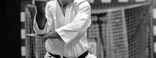 Preminuo karatista Milan Đokić