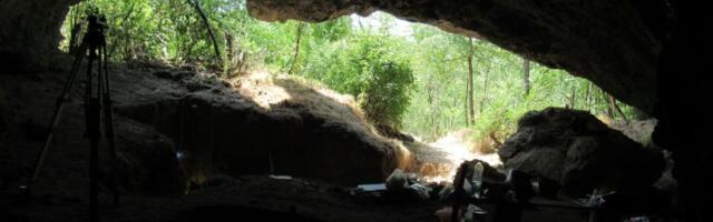 Kasni evropski neandertalci potiču od jedne populacije: U otkriću učestvovali i naučnici iz Srbije